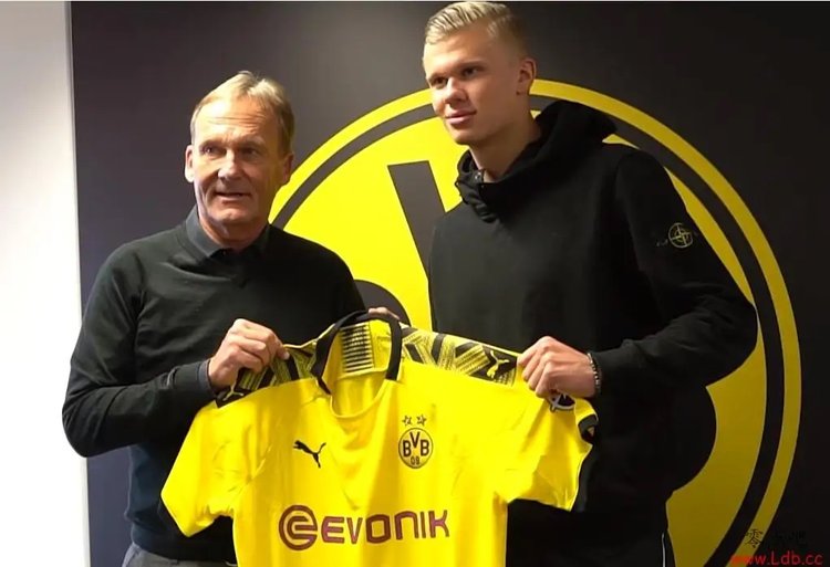 低估的球队 低估的球队